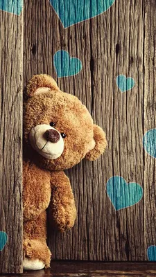 Cute Bear
