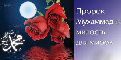 Купить Исламский подарочный набор Lux | Исламский подарок на день рождения  для парня | Люкс свадебный подарок | Подарок ко Дню отца | Исламский  подарок для папы | Подарок для мужчин | Joom