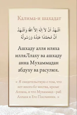 https://dzen.ru/media/id/5e77856baed81f64b076d386/poslannik-allaha-blagoslovit-ego-allah-i-privetstvuet-i-aisha-da-budet-dovolen-eiu-allah-5e77b2d2dc99f90a35291679