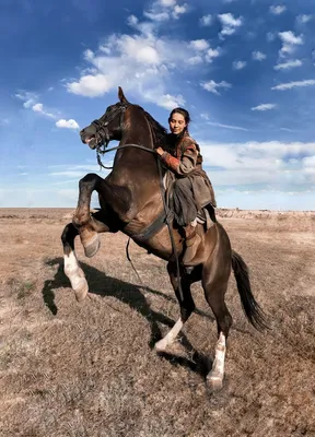 Девушка на коне, лошадь, girls on horse, историческая фотография, картинка  на рабочий стол | Лошади, Лошадиные породы, Исторические фотографии