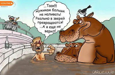 Юмор от подписчиков - смешные картинки и анекдоты | Бросаем пить вместе |  Дзен