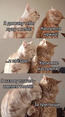 Пятничный юмор: картинки, комменты, шутки