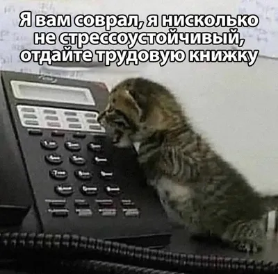 Юмор из интернета (36 фото)