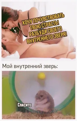 Юмор) | Пикабу