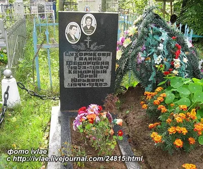 Живая классика: Юрий Каморный на фото