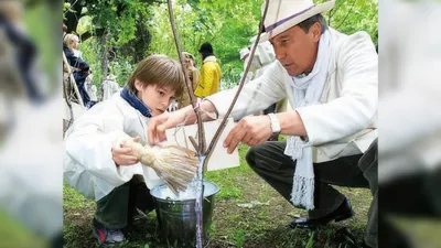 Обои на телефон Ивана Янковского: Стиль в каждом пальце