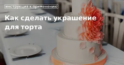5 причин Почему Вы до сих пор не начали делать муссовые торты - Школа  кондитерского искусства