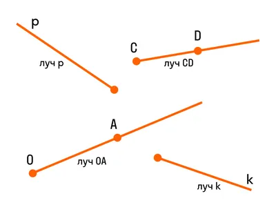 Что такое угол? Определение, виды, как обозначают, примеры