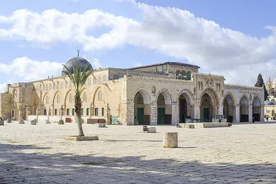 Обои для рабочего стола Израиль Jerusalem Пальмы храм город