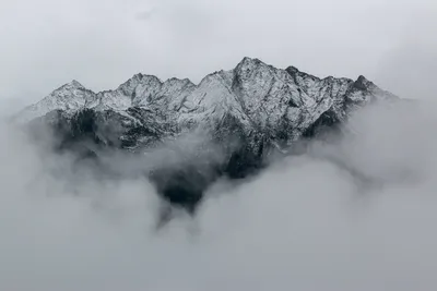 Доброе кайфовое утро, мир 🕊️ | Instagram