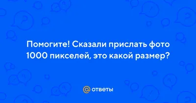 набор бесшовных узоров в виде листьев и овощей 1000 X 1000 пикселей цветной  версии. векторная графика. Стоковое Фото - изображение насчитывающей  листья, линия: 248077416