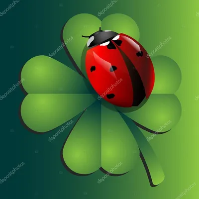 Картинки по запросу картинки божья коровка на листе клевера | Ladybug,  Ladybug theme, Clover