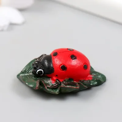 Раскраски Раскраска Божья коровка на листочке , Раскраски .