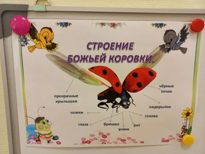 Занятие «Божья коровка на листочке» (оригами) | Дефектология Проф