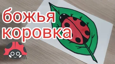 Божья коровка на листочке рисунок - 63 фото