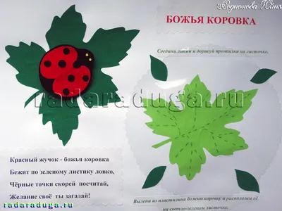 Валяная брошь оберег ручной работы \"Божья коровка на листочке\" 10,5 см  №1230900 - купить в Украине на Crafta.ua