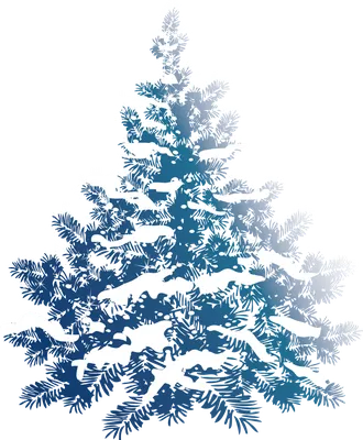 елочка на прозрачном фоне png | Klipartz