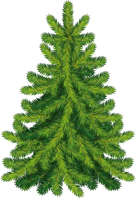 елка PNG и картинки пнг | рисунок Векторы и PSD | Бесплатная загрузка на  Pngtree