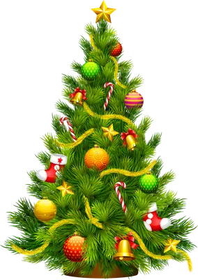 елочка на прозрачном фоне png | PNGEgg