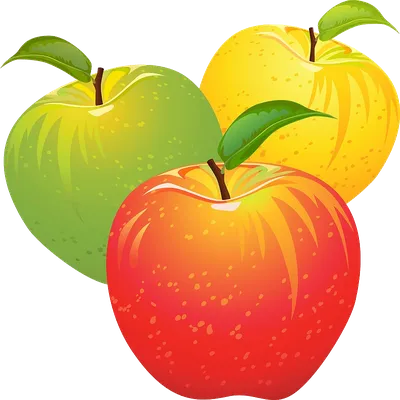 Food Background png download - 3707*5000 - Free Transparent Apple png  Download. - CleanPNG / KissPNG