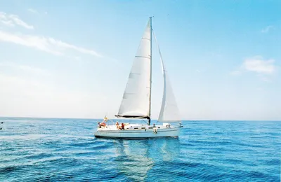 Морской лев