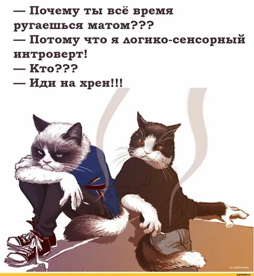 иди на хрен (на хер) / пошёл на хрен (на хер) in Russian - Translation in  English - Examples