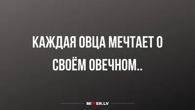 Масвидаль обратился к Чимаеву: «Перестань принимать стероиды и иди на хрен»