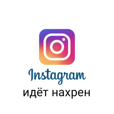 Юмор за день и овцы | Mixnews