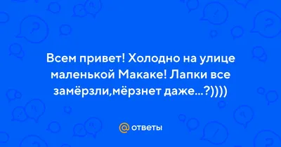 На улице холодно — дома тепло — Парламентская газета «Тюменские известия»