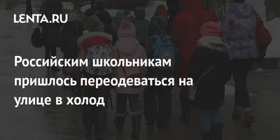 Ответы Mail.ru: Всем привет! Холодно на улице маленькой Макаке! Лапки все  замёрзли,мёрзнет даже...?))))