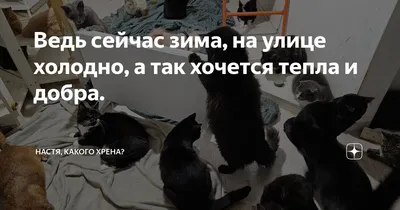 Остаются активными. Это на улице холодно. Трикотажных ребенок теплый.  Флюиды зимы. Портрет хипстера девушки. Мода на улицах молоде Стоковое  Изображение - изображение насчитывающей газоход, тип: 171239747