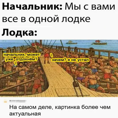 Лапша на ушах • Анатомия еды: как устроена микрофлора � • Podcast Addict