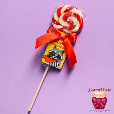 Леденец на палочке с жвачкой Moji Lolli (16 г) - IRMAG.RU