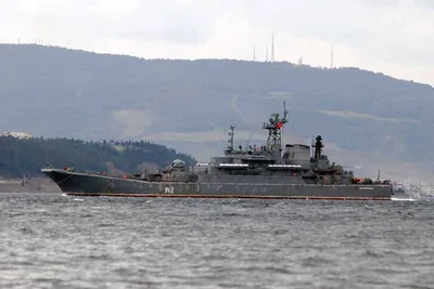 Сирийский моряк провел четыре года в одиночестве на покинутом корабле - МЕТА
