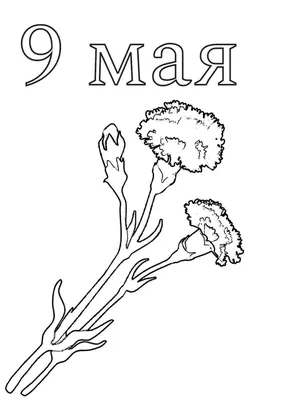 Раскраска 9 мая День Победы для детей