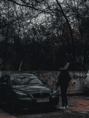 Рычащий волк: ава для парней - SY | Мужские картины, Оборотень, Волк