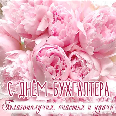 Смешная картинка с поздравлением на день бухгалтера: У хорошего бухгалтера  не сойтись может только юбка | Смешно, Открытки, Юмор о работе