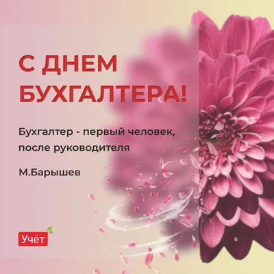 С Днем бухгалтера! Милые открытки и сердечные поздравления в международный  праздник 10 ноября | Курьер.Среда | Дзен