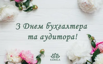 21 ноября — День бухгалтера в России | 21.11.2021 | Каменск-Шахтинский -  БезФормата