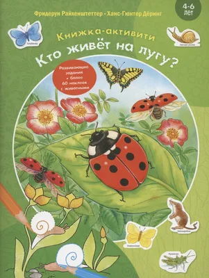 Федерико Дзандоменеги - Отдых на лугу (Девочка в поле), 61×50 см: Описание  произведения | Артхив