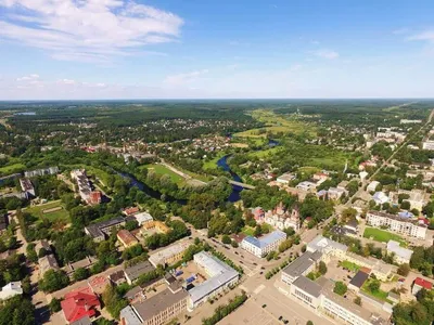 Картина Цветы на лугу. Холст масло. Алёна Мосина в интернет-магазине  Ярмарка Мастеров по цене 2635 ₽ – RB29QBY | Картины, Саратов - доставка по  России
