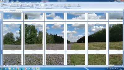Картинка на нескольких листах фотографии