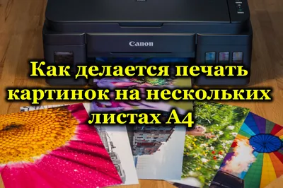 Как одновременно ввести данные на двух и более листах Excel? | Эксперименты  с видеоредактором | Дзен