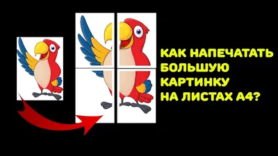 Как распечатать большую картинку на листах формата A4? - YouTube
