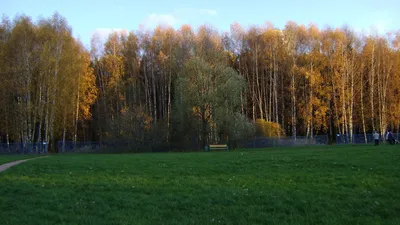 природа осенью
