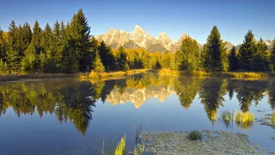 Обои лес, деревья, река, осень, природа, пейзаж картинки на рабочий стол,  фото скачать бесплатно