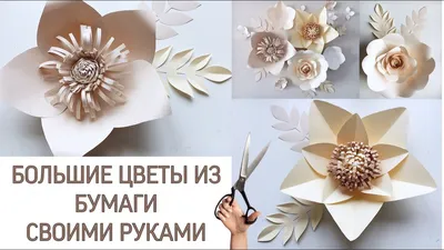 Чем украсить стену: 10 креативных идей | myDecor