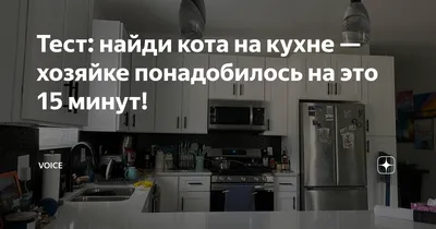 Картинка найди кошку на кухне фотографии
