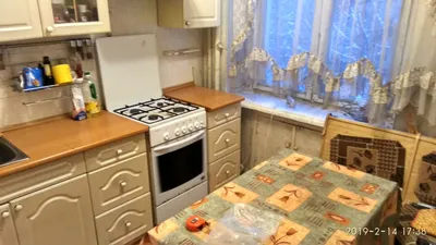 Фотогалерея \"Забавные фото\" - \"Рыжик кот на кухне в мойке хочет пить\" -  Фото породистых и беспородных кошек и котов.
