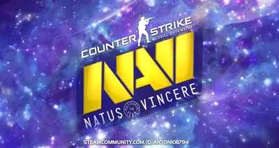 Голосование в конкурсе от Natus Vincere - Gameinside.ua